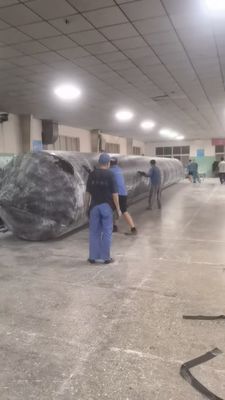 直径 30-5000mm ローリングまたはリフティング装置の最大効率のための船舶発射エアバッグ
